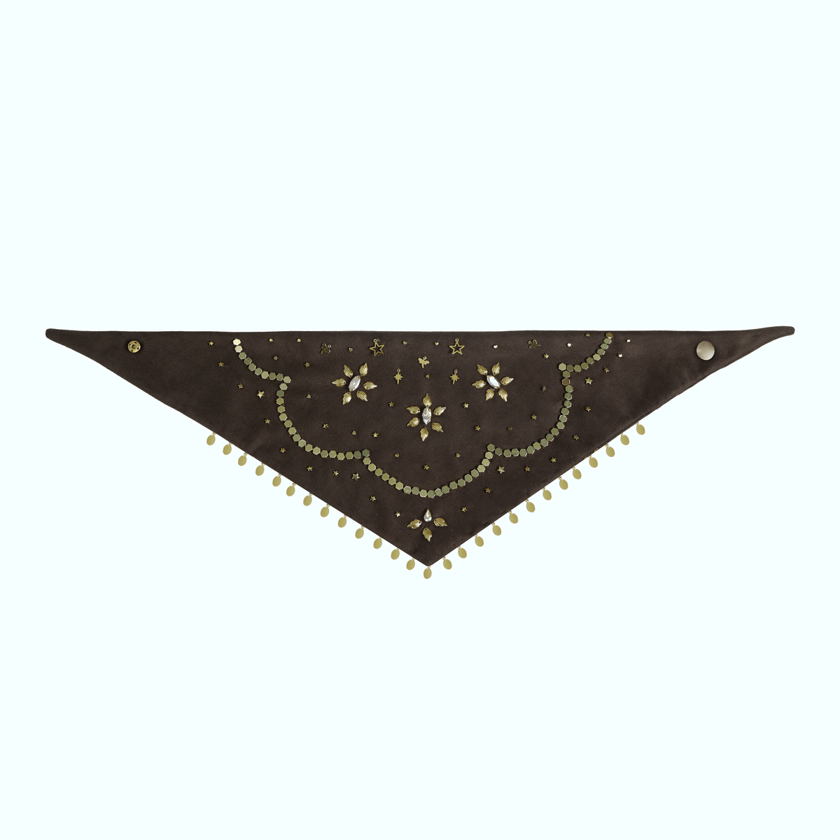 The Richmond Bandana